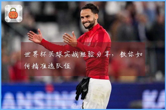 世界杯买球实战经验分享，教你如何精准选队伍