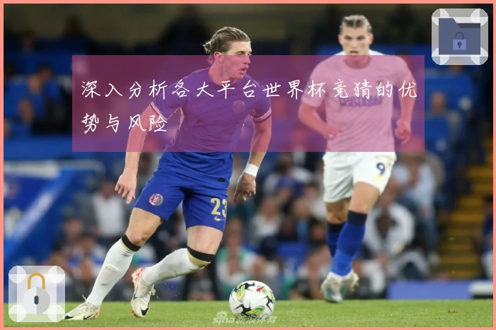 深入分析各大平台世界杯竞猜的优势与风险