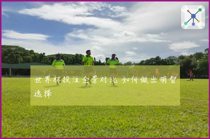 世界杯投注全景对比 如何做出明智选择
