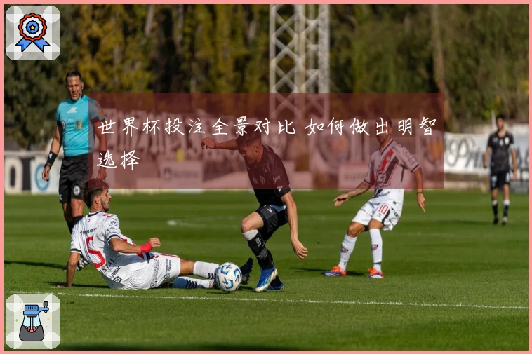 世界杯投注全景对比 如何做出明智选择