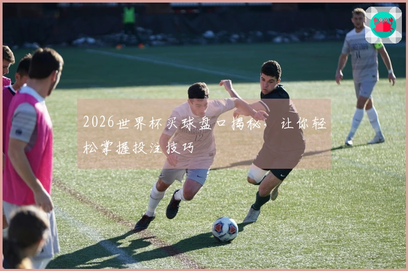 2026世界杯买球盘口揭秘，让你轻松掌握投注技巧