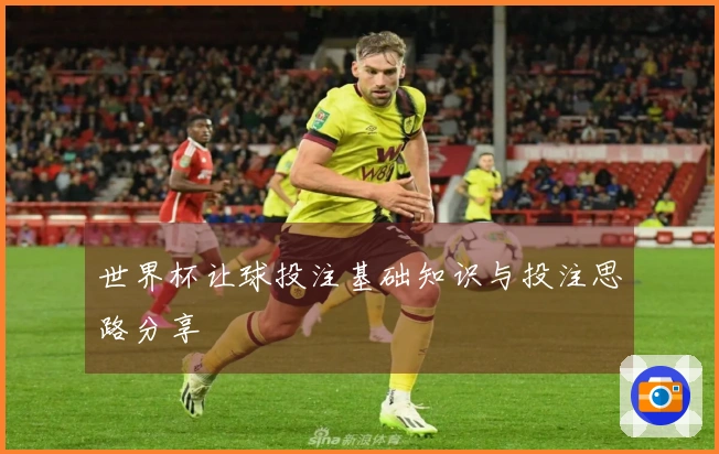 世界杯让球投注基础知识与投注思路分享