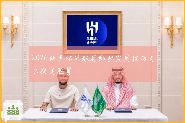 2026世界杯买球有哪些实用技巧可以提高胜算