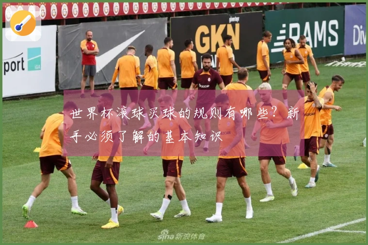 世界杯滚球买球的规则有哪些？新手必须了解的基本知识