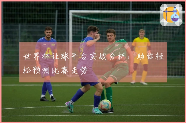 世界杯让球平台实战分析，助你轻松预测比赛走势