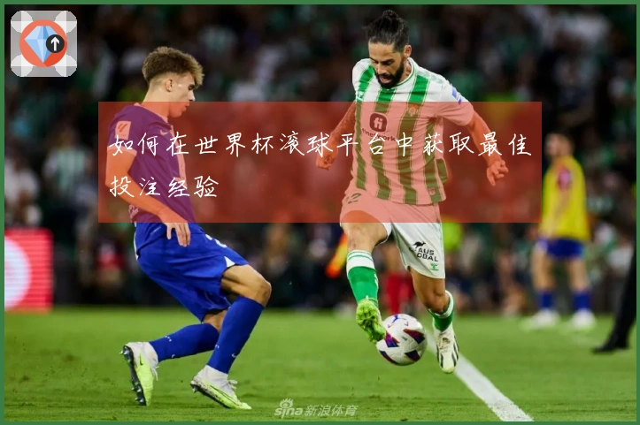 如何在世界杯滚球平台中获取最佳投注经验