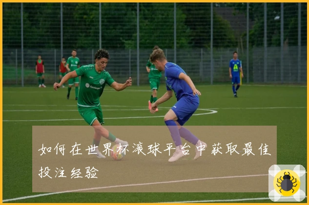 如何在世界杯滚球平台中获取最佳投注经验